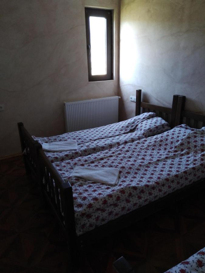 Family Hotel Mtamta Gudauri Exteriér fotografie