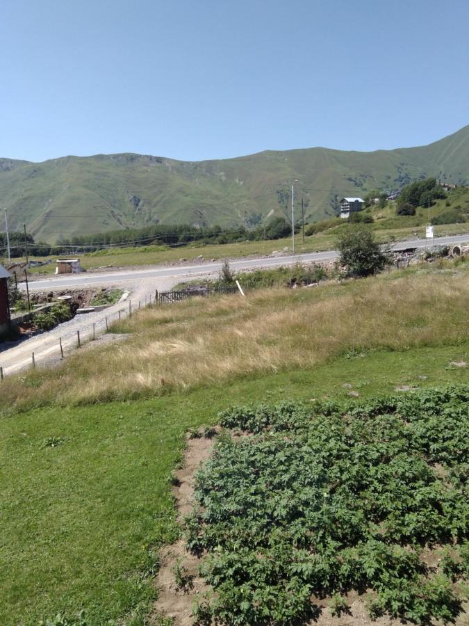 Family Hotel Mtamta Gudauri Exteriér fotografie