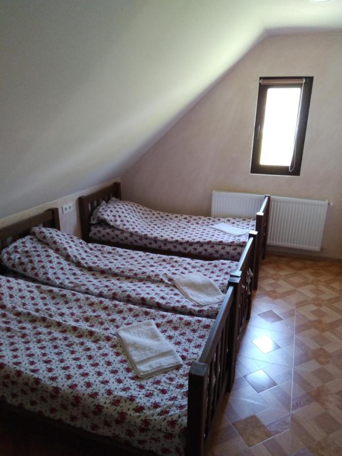 Family Hotel Mtamta Gudauri Exteriér fotografie