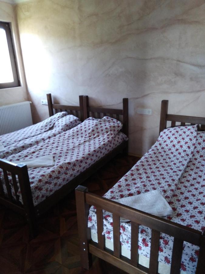 Family Hotel Mtamta Gudauri Exteriér fotografie