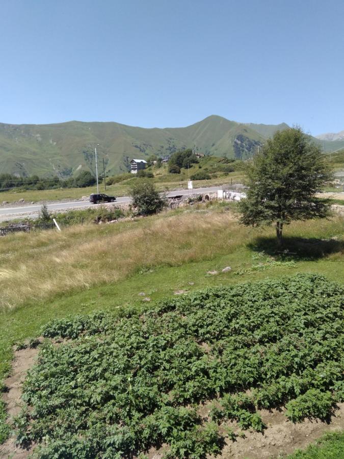 Family Hotel Mtamta Gudauri Exteriér fotografie